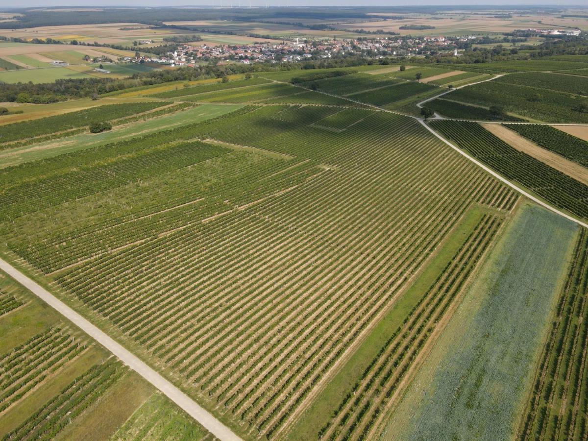 Pension Schloegl Lutzmannsburg Dış mekan fotoğraf